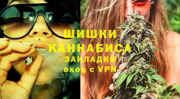 винт Новозыбков