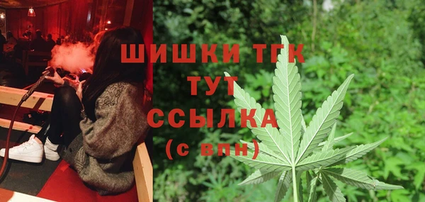 гашик Бикин