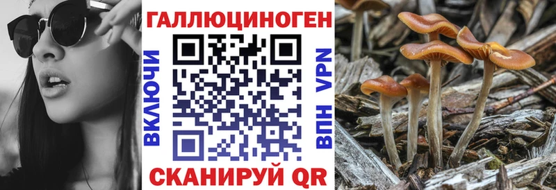 Псилоцибиновые грибы ЛСД  Новоульяновск 